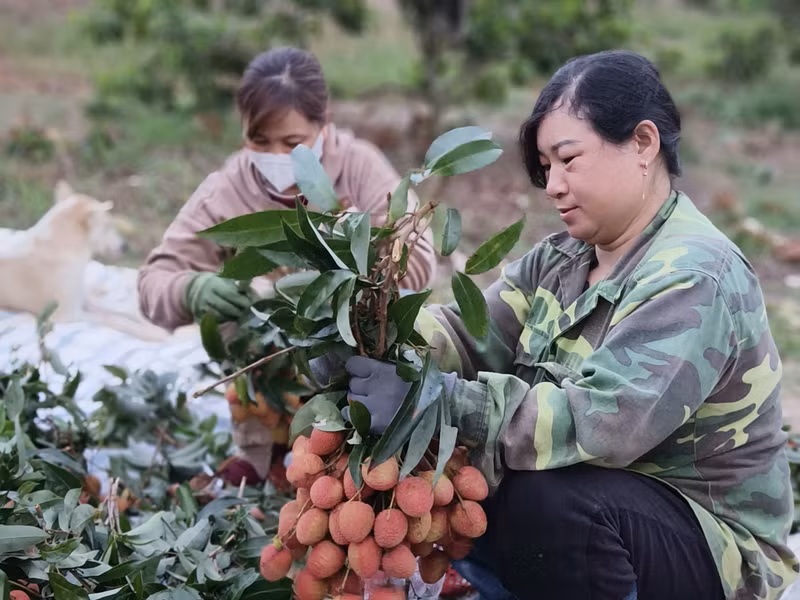 Đổi mới để thích ứng, kiếm tạo để phát triển - Một năm nhìn lại chặng đường vận hành mô hình chính quyền địa phương hai cấp (Bài 1)