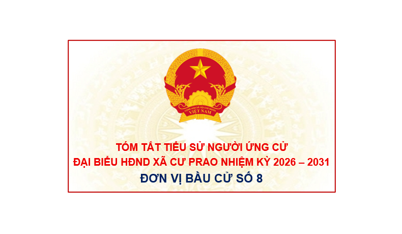 (Infographic) Tiểu sử tóm tắt các ứng cử viên đại biểu HĐND xã Cư Prao, nhiệm kỳ 2026 – 2031: Đơn vị bầu cử số 8